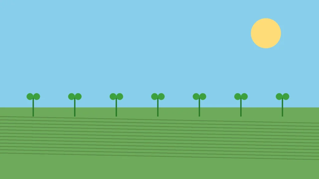 जैविक खेती